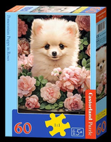 PUZZLE 60 POMERANIAN PUPPY