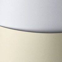 KARTON OZDOBNY GŁADKI BIAŁY 50SZT