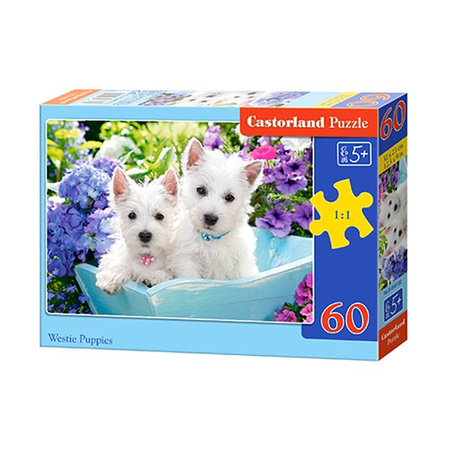 Castorland Puzzle 60 el.  B-066100 Westie Puppies