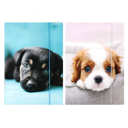 Teczka z gumką A4 Pieski STARPAK 559719