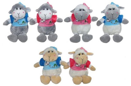 OWCA 6 ASST 25CM         166791