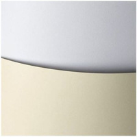 KARTON 50SZT 200G BIAŁY GŁADKI