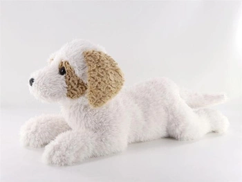 Pies Hawańczyk 60 cm leżący