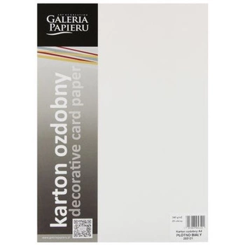 KARTON PŁÓTNO 20SZT BIAŁY 240G