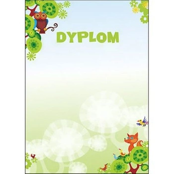 DYPLOM BAJKA 170G 25SZT