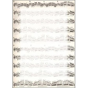 Dyplom Nuty 170g 25szt