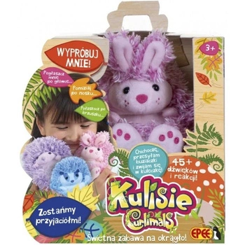 KULISIE PLUSZ INTERAKTYWNY