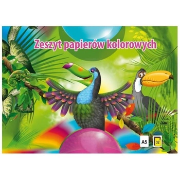 ZESZYT PAP KOLOR A5-32