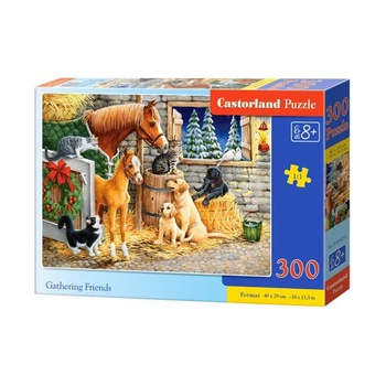 Castorland Puzzle 300 B-030255 Gathering Friends