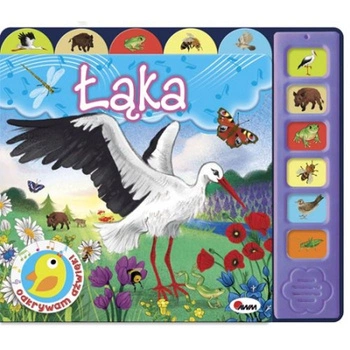 Książeczka Odkrywam Dźwięki Łąka AWM