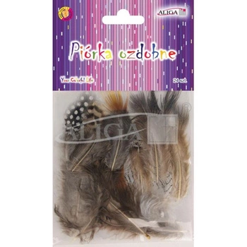 Piórka P-2519 op. 24 szt.3-8 cm, mix kolorów  