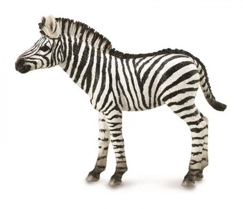 Młoda Zebra Figurka Collecta