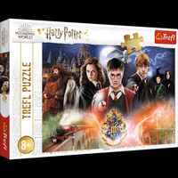 Puzzle 300 el.  TAJEMNICZY HARRY POTTER