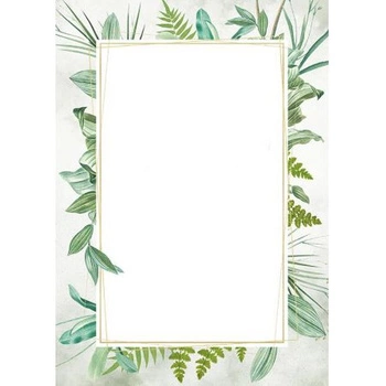 DYPLOM BOTANIK A4 25AR 170G