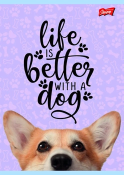 Zeszyt A4 32k linia podwójna laminowany MIX