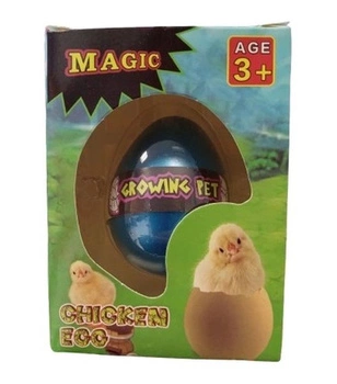 ROSNĄCY KURCZACZEK W JAJKU KARTONIK