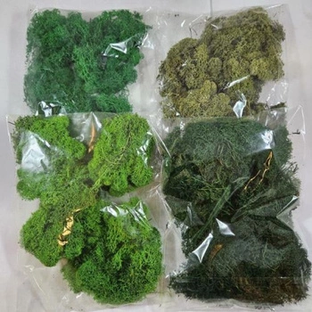 mech chrobotek 100g mix kolorów