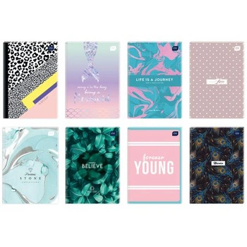 BRULION A5 96 KRATKA