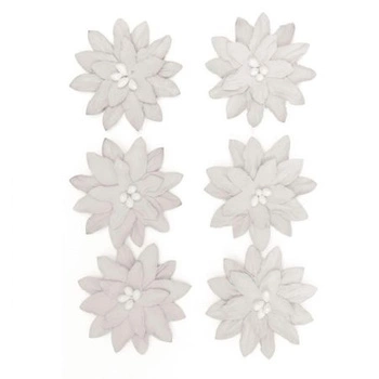 KWIAT DALIA 6SZT BIAŁY SAMOP PAP