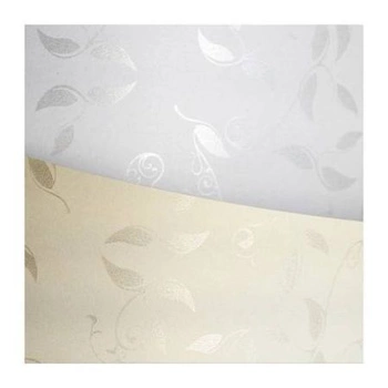 KARTON 100G 50SZT LIANA BIAŁY