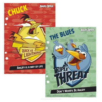 WKŁAD do segregatora A5 ANGRY birds