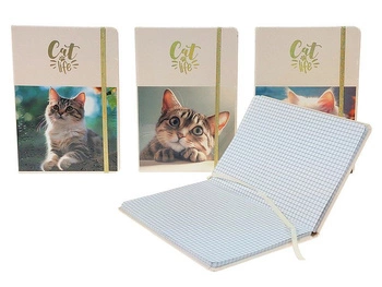 notes z kotem, w kratkę 21x14,5x1,5cm, display 24szt; 29x21,5x16,5cm, Box