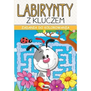 ZADANIA DO KOLOROWANIA LABIRYNTY Z