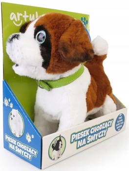 PIESEK CHODZĄCY NA SMYCZY Bernardyn