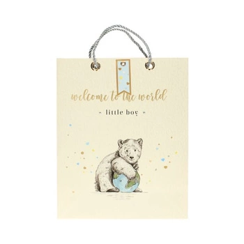 Torebki papierowe LITTLE BOY, L 32x12x26, 5szt./op.