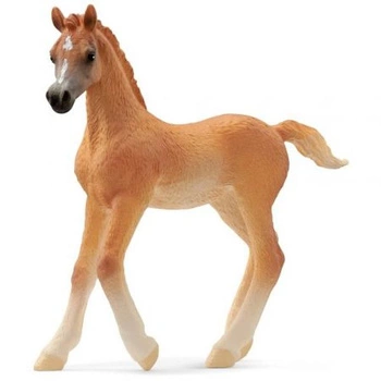 SCHLEICH FIGURKA HORSE CLUB ŹREBAK CZYSTEJ KRWI ARABSKIEJ