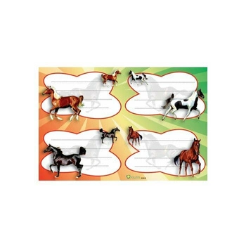 NAKLEJKI NA ZESZYT M MIX