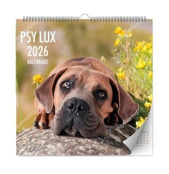 Kalpol.bis Kalendarz ścienny 2026 Lux psy