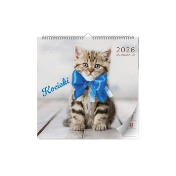 Kalpol.bis Kalendarz ścienny 2026 Lux kociaki
