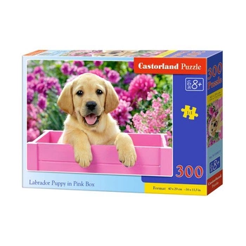 Castorland Puzzle 300 B-030071 Labrador Puppy in Pink Box @
