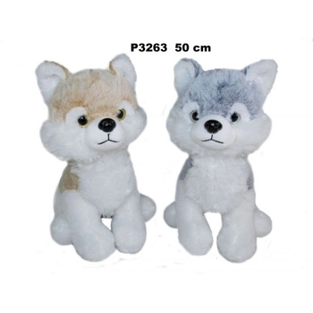 PIES Husky  50 CM