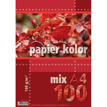 PAPIER A4-100 160G MIX