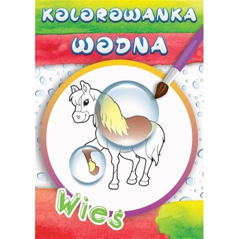 KOLOROWANKA WODNA WIEŚ