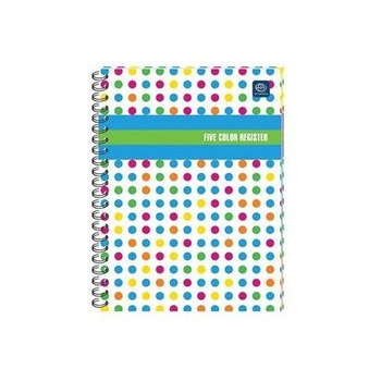 KOŁONOTATNIK B5 160 KRATKA