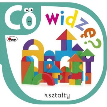 CO WIDZĘ 10 KSZTAŁTY