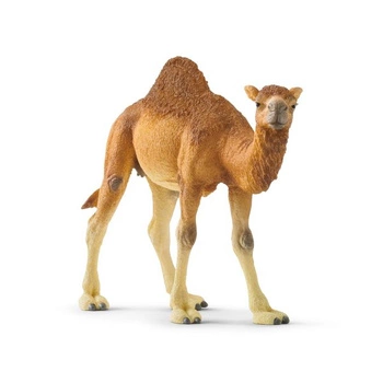 SCHLEICH_FIGURKA WILD LIFE_WIELBŁĄD DROMADER