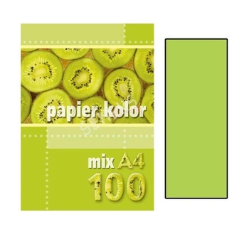 PAPIER A4 100 J.ZIELONY