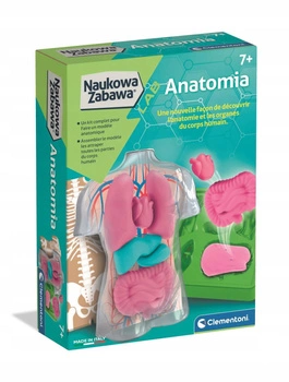 Naukowa Zabawa. Anatomia Clementoni
