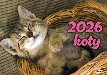 Kalendarz 2026 albumowy  KOTY KA 2 9788381815390
