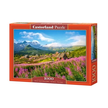 Castorland Puzzle 1000 el. C-104512 Hala Gasienicowa, Tatras, Poland