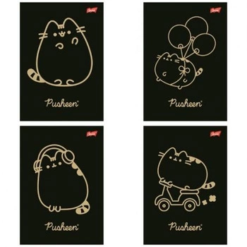 Zeszyt A5 60k krata laminowany PUSHEEN
