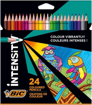 Kredki ołówkowe Color UP 24 kolorów BIC