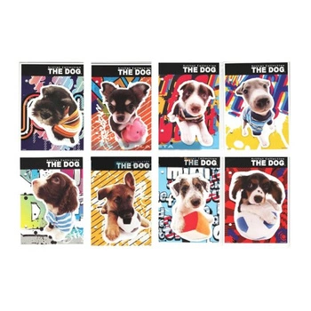 WKŁAD DO SEGREGATORA  A6 DOG